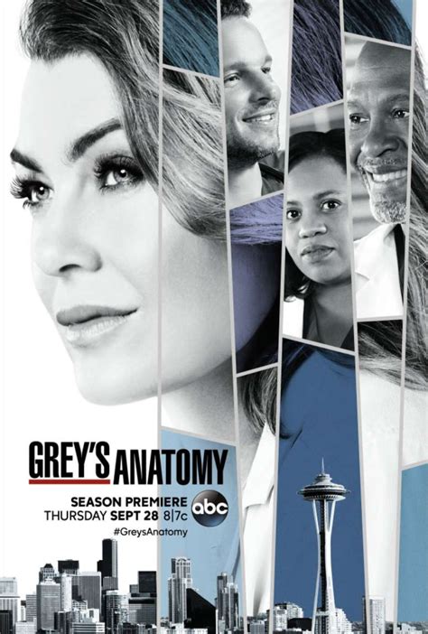 Grey’s Anatomy 14ª Temporada Completa Torrent (2017) .